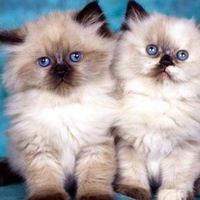 Юлия Сударикова