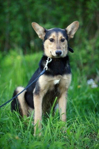 Евгения Алексеева