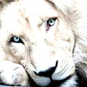 Артур Стужук