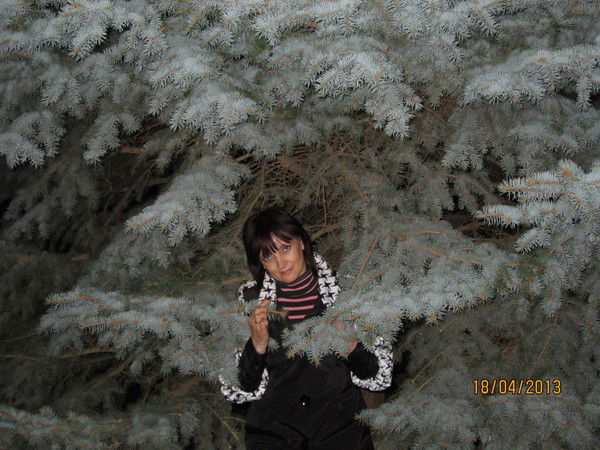 Оксана Брежнева