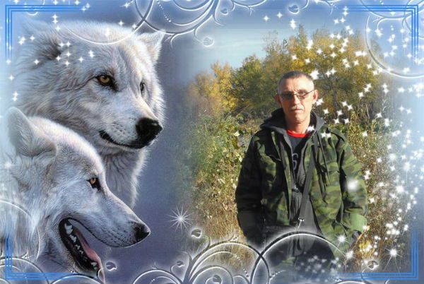 Владимир Залипаев