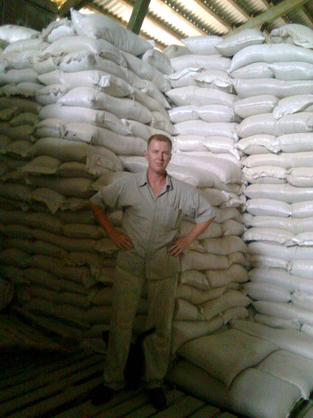 Алексей Катаев