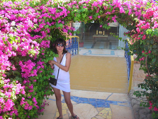 Елена Филиппова