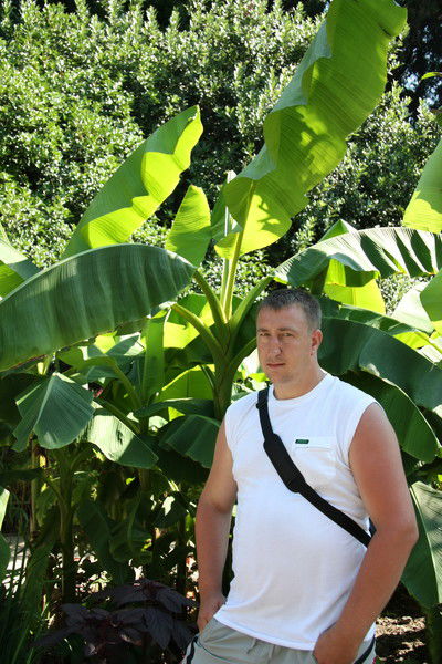 Артём Черных-Рашевский