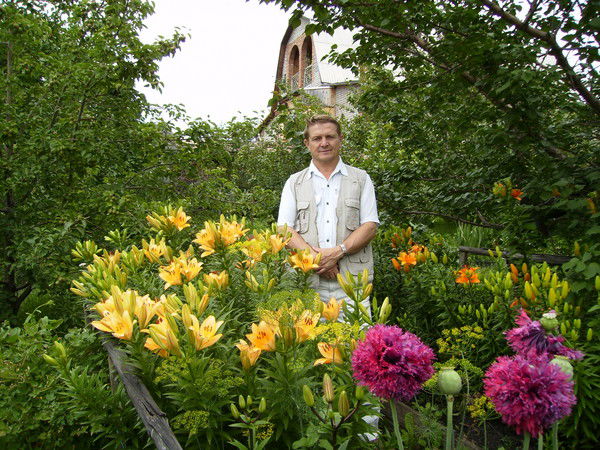 Владимир Шрамко