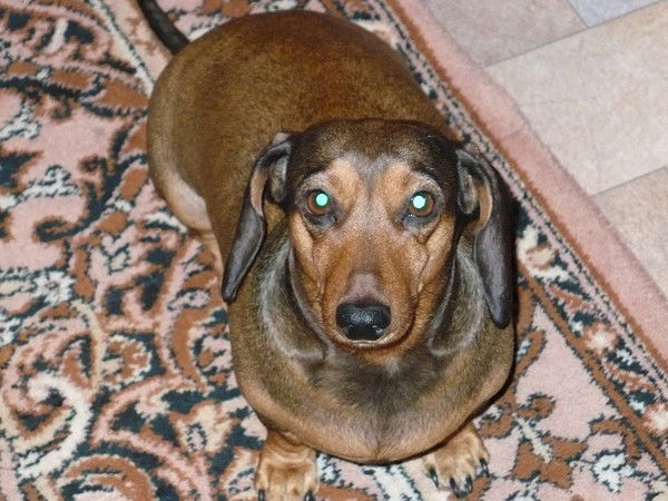 Оксана Прокопенко