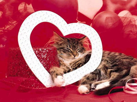 Светка Конфетка