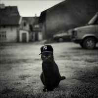 Жека Акперов