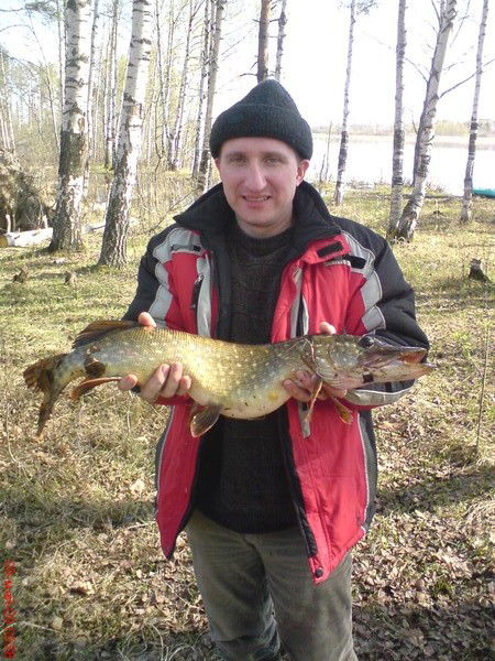 Алексей Феофанов