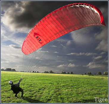 Жека Михеенко