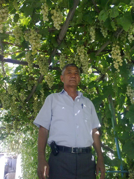 Есемурат Бекбосынов