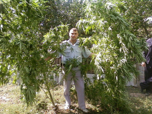 Дмитрий Левчук