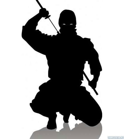 Александр Новиченко