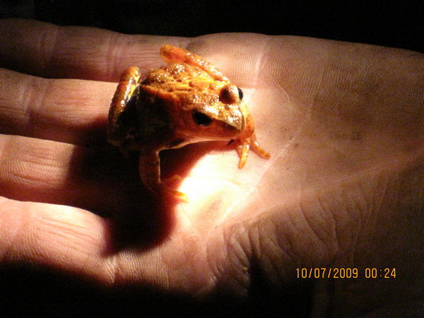 Брюханова Татьяна