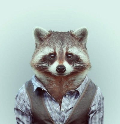 Денис Соломатин