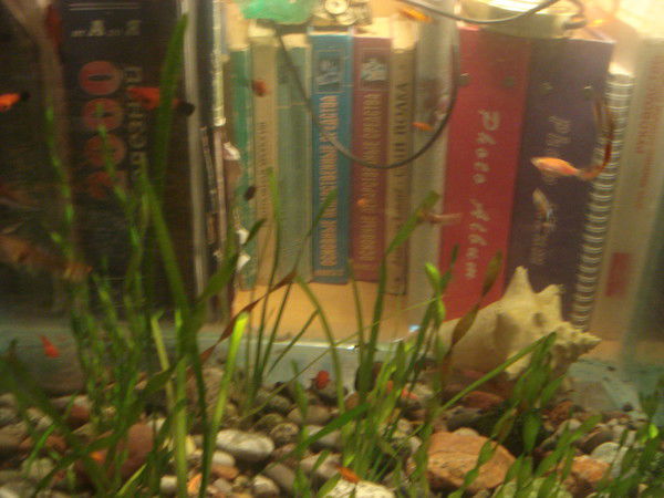 Гаипов Максуд