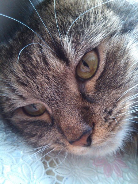 Лариса Сало