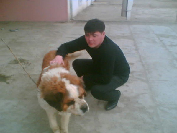 Алибек Урдабаев