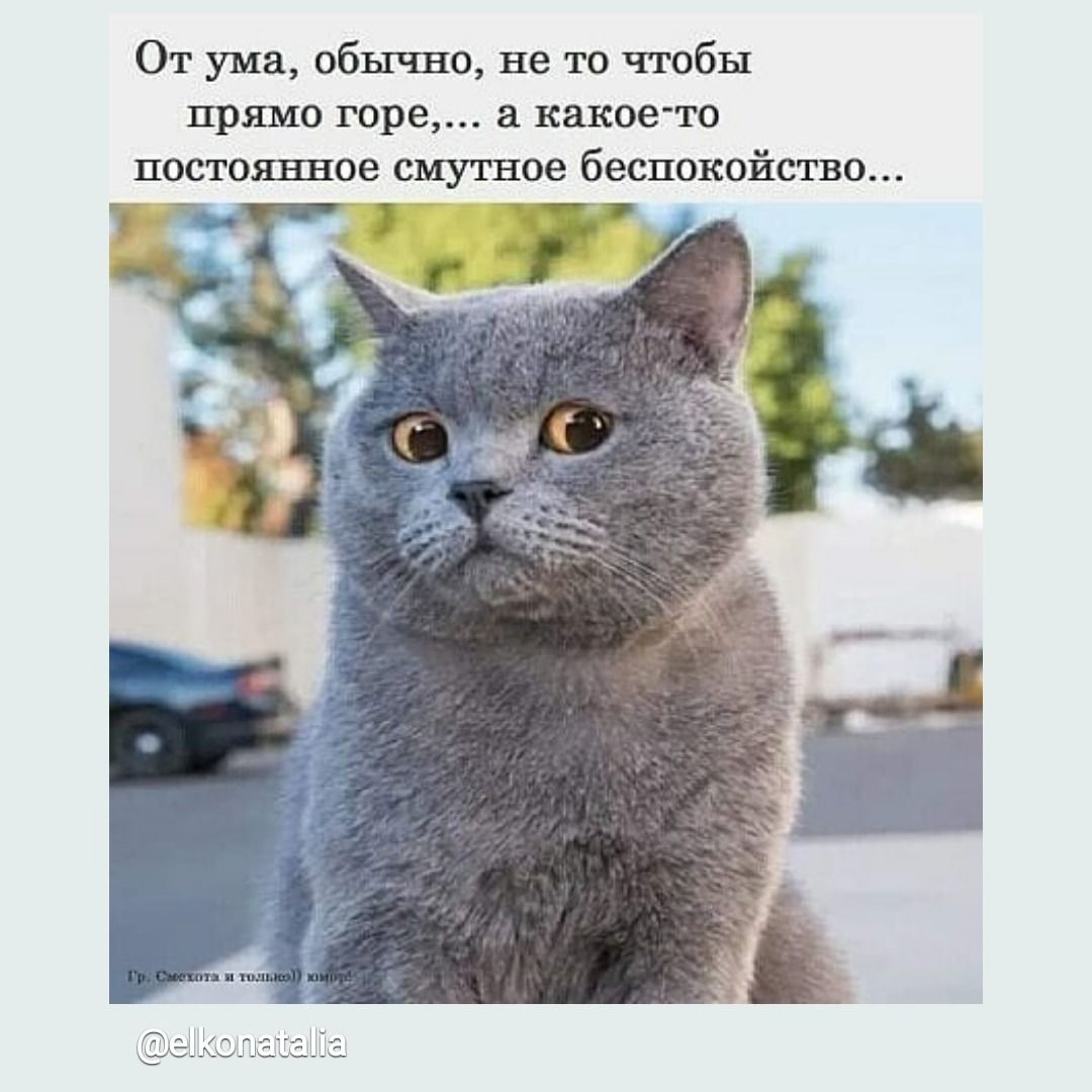 Кудрявцев Артур