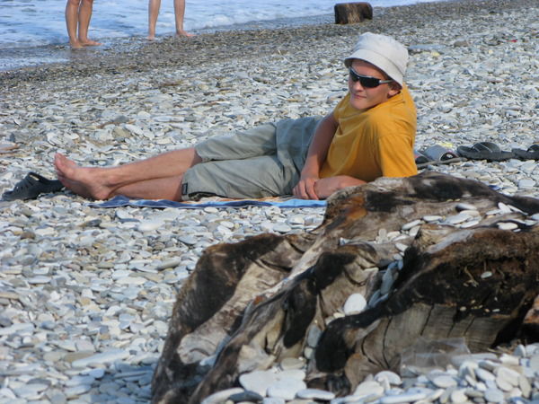 Андрей Дубровский