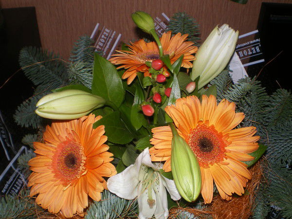 Ольга Настенко