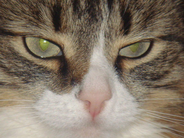 Валентина Курбанова