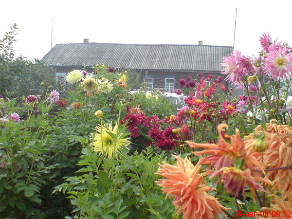 Нина Морозова (Шумилова)