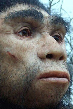 Игорь Воронцов