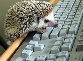 Светлана Васильева