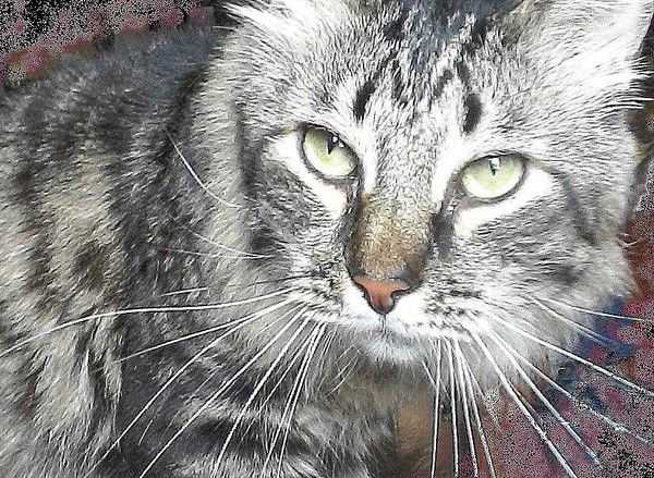 Александр *****