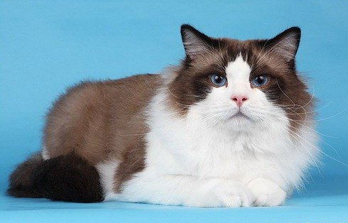 Аня Озерова