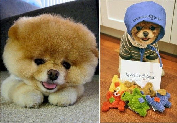 Айнагуль Сулейменова