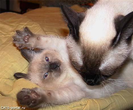 Ольга Савельева