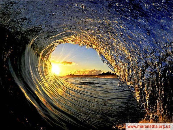 Иванка Трамп