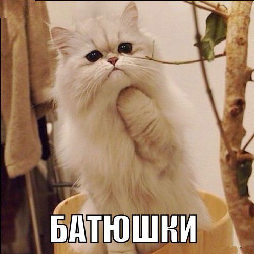 Шлюха Не Сиди Через Нашу Почту