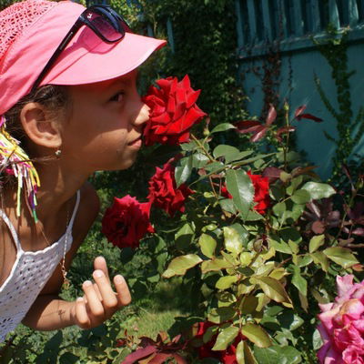 Полина Сиденко