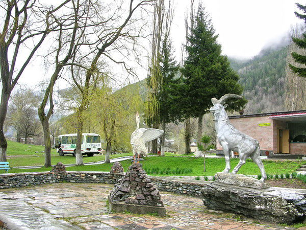 Светлана ***