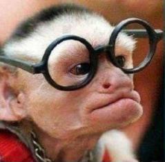 Владимир Липатов