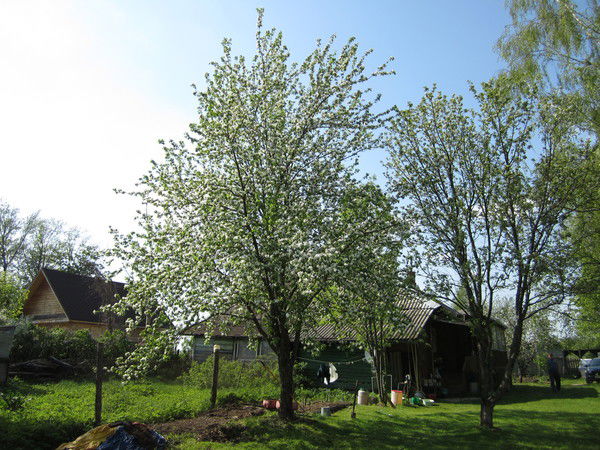 Евгений Пряников