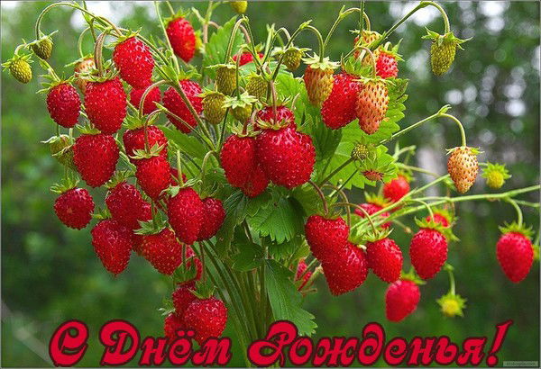 Галина Артемова