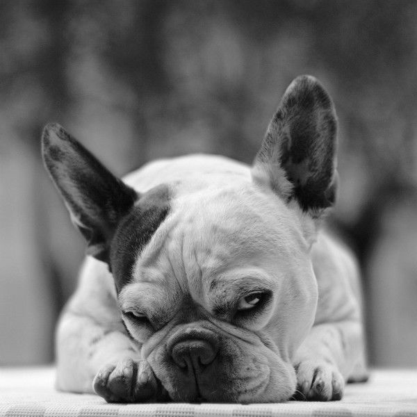 Азамат Андакулов