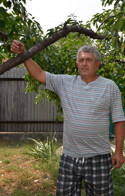 Анатолий Лимаренко