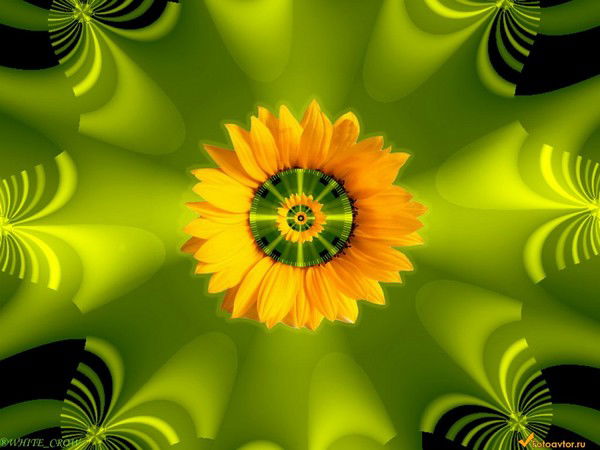 Ирина Тараповская