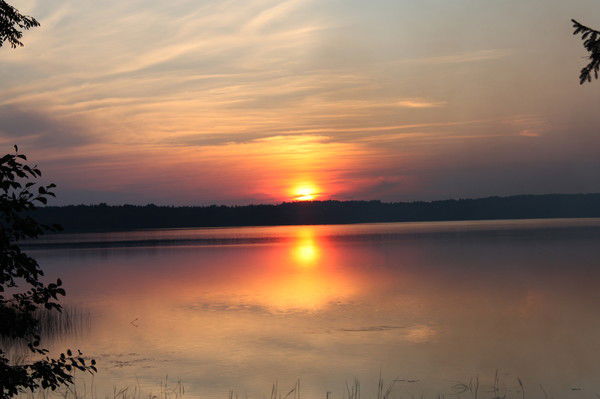 Регина Сударикова