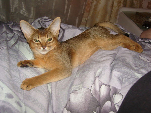 Кашина Людмила