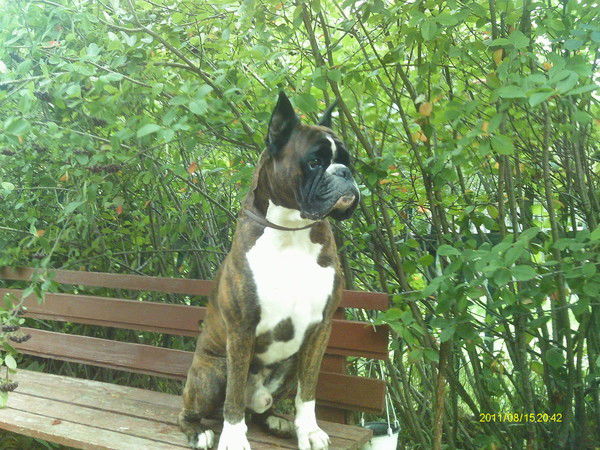 Лена Гурбанова