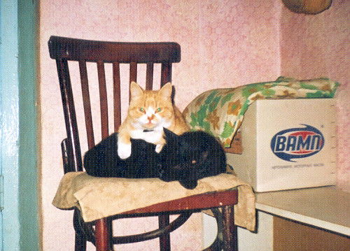 Лидия Ржевская