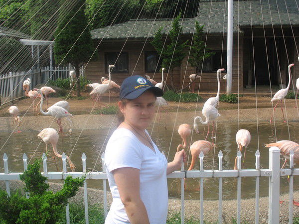 Саша Ясинская