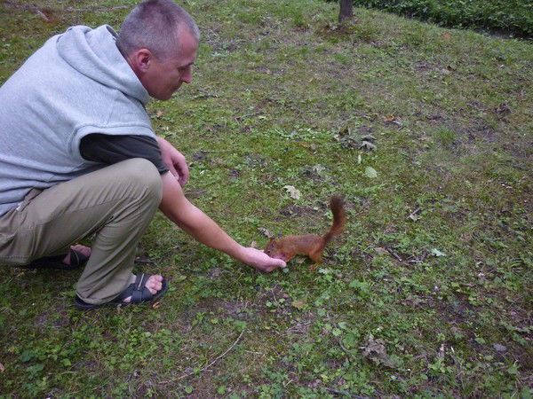 Сергей Князев