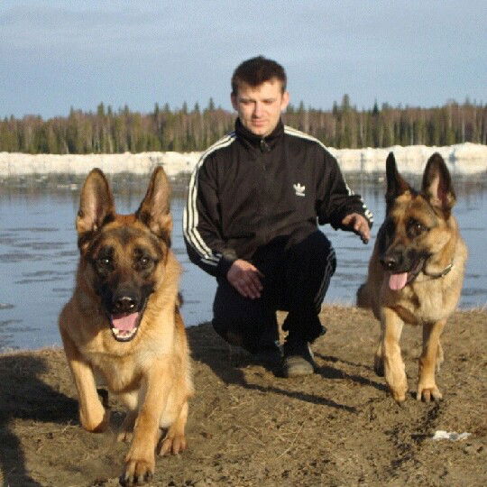 Александр Павлов